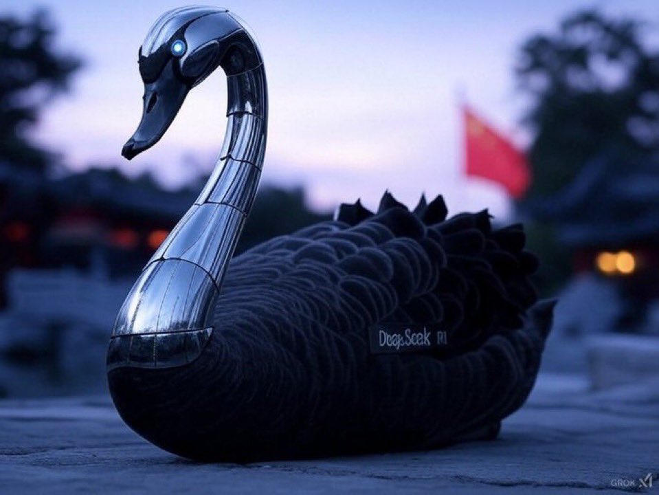 BLACKSWAN