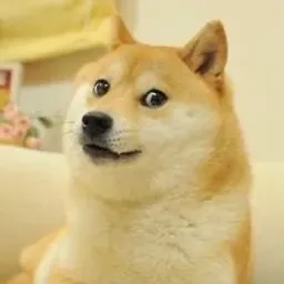 Kabosu
