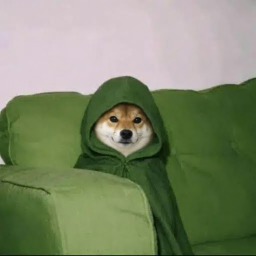 hooddog