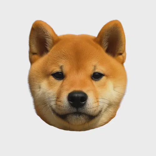 koinu