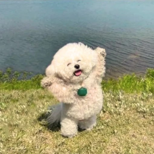 PUP