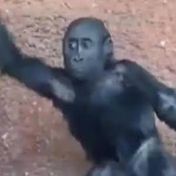 NIGGER