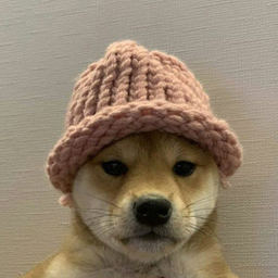 WIF
