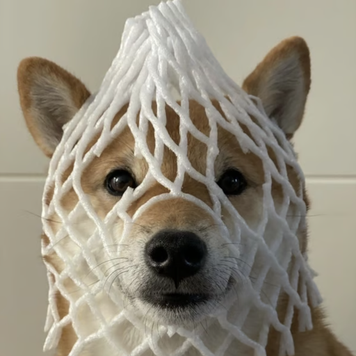 wDOG