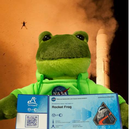 RocketFrog