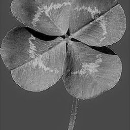 4leaf