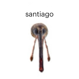 santiago