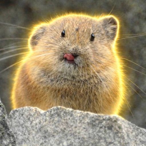 PIKA