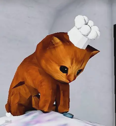 chef