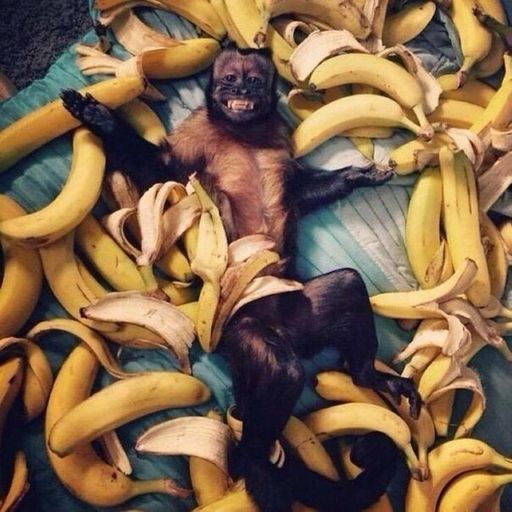 APE