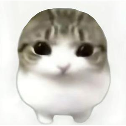 妙脆角猫