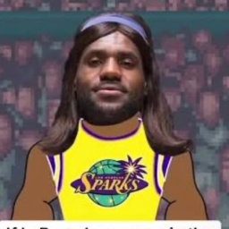 WNBA 