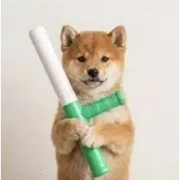 BATON