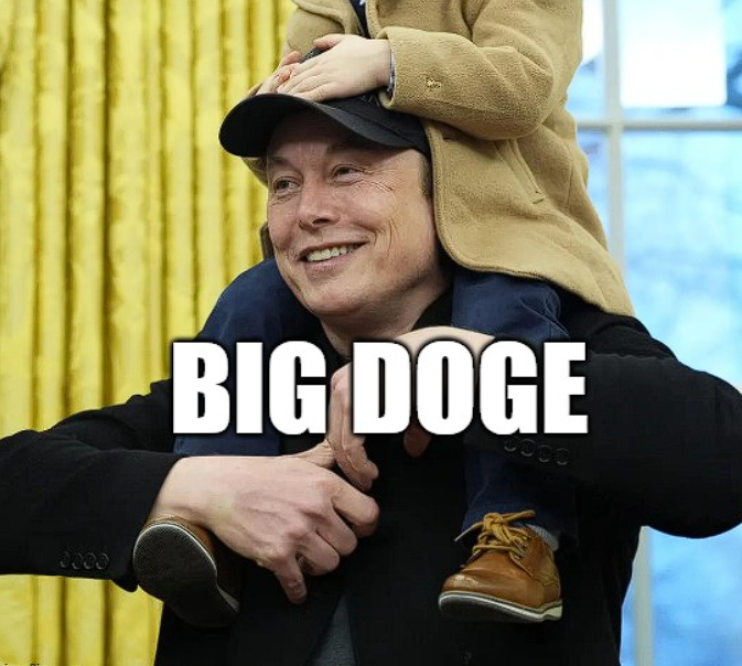 BIGDOGE