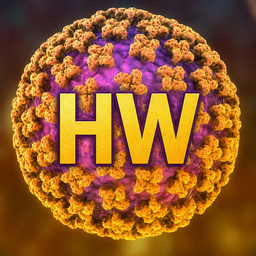 hw234