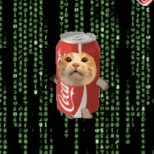 MeowCan