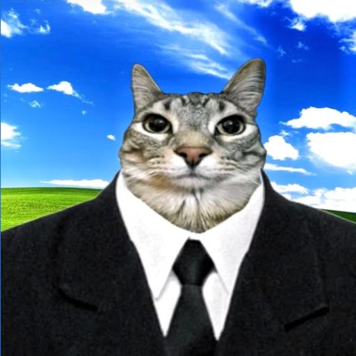 CatWork