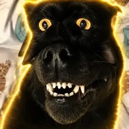 CatDog