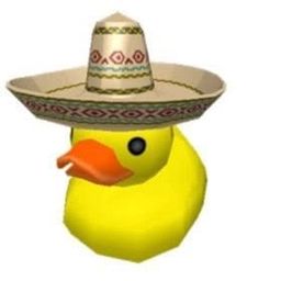 DUCK
