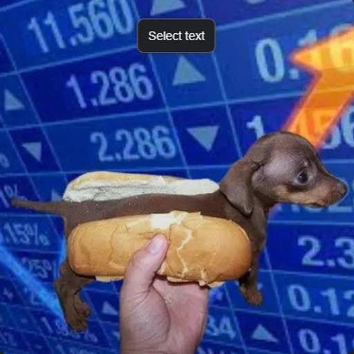 holdog