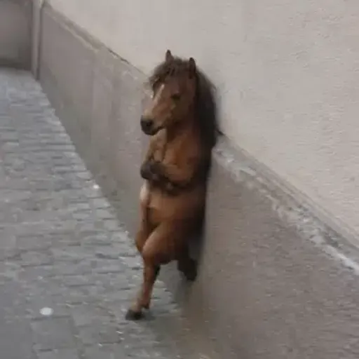 HORSE