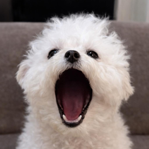 WOOF