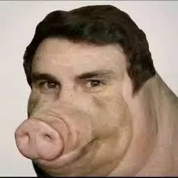 BOAR