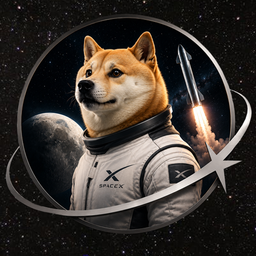 SPCXDOGE