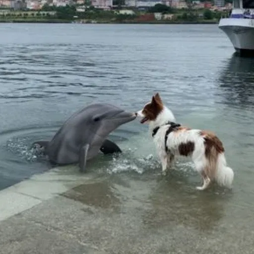 Friendship