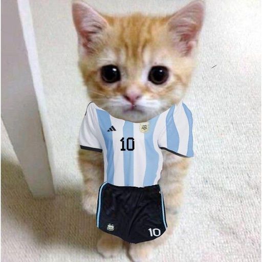 Meowssi