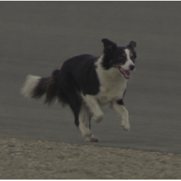 LeBark