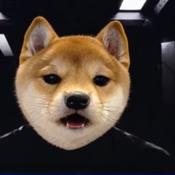 VRAXDOG