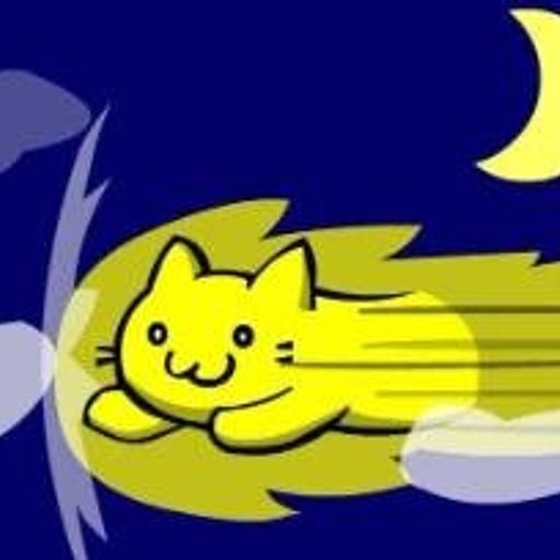 SPEEDYCAT
