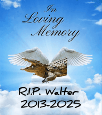 WALTER