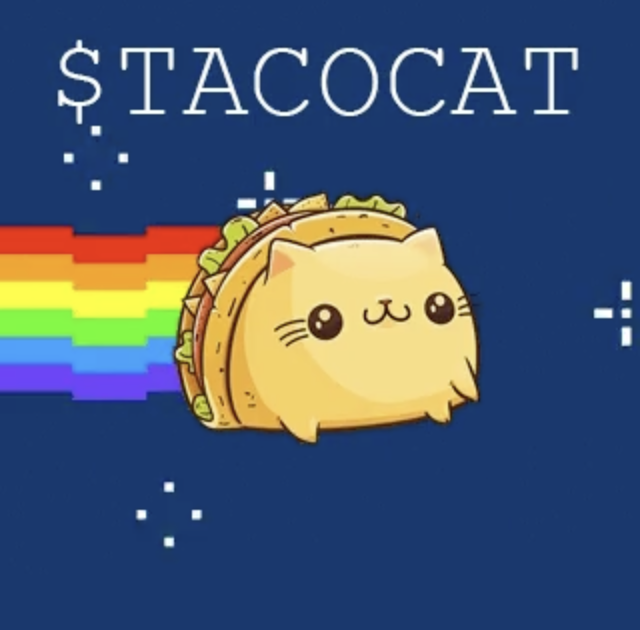tacocat