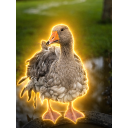 GOOSEY