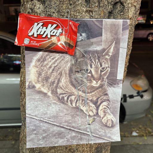 KitKat