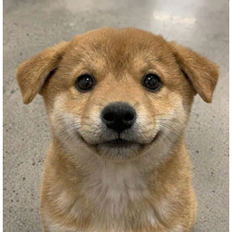 pup
