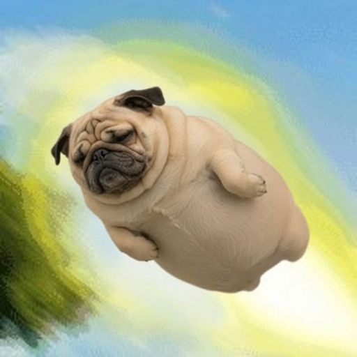 turbodog