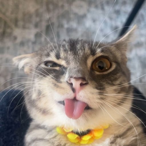 RIGBY