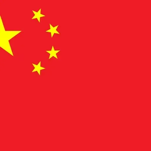 china COIN