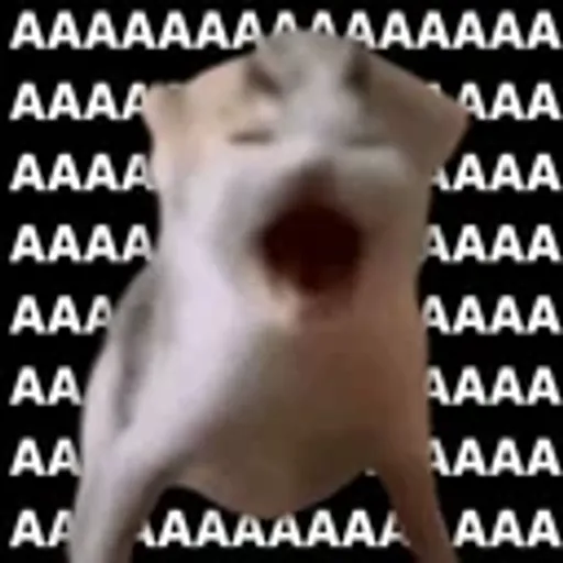 AAAAAAAAAAA