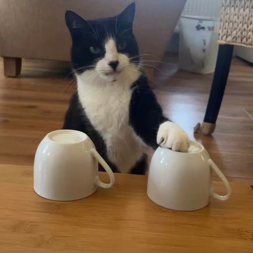 Billy