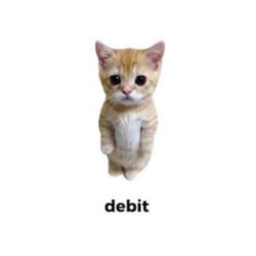 debit