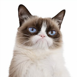 Grumpy