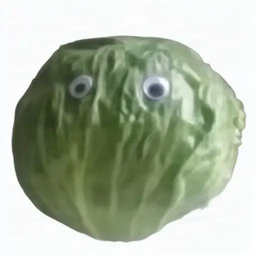 lettuce