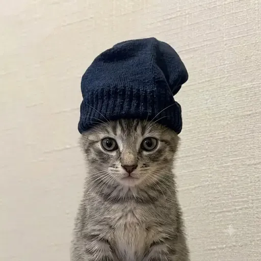 Lawchu