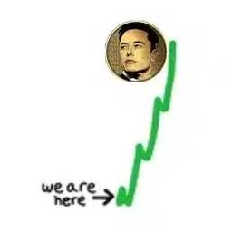 ELON
