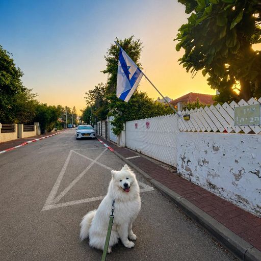 ציוני