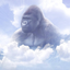 HARAMBE